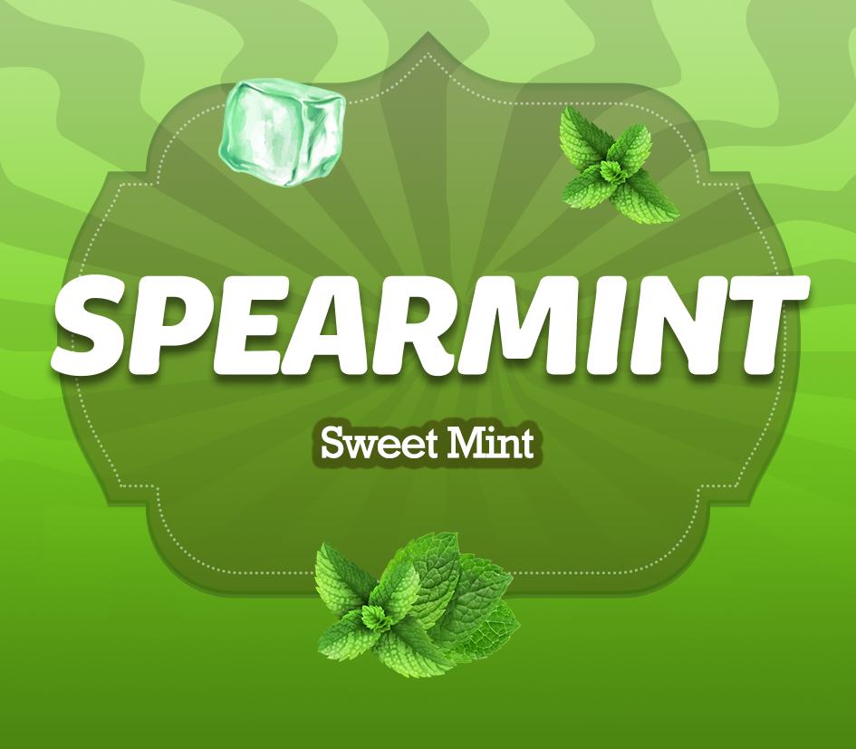SPEARMINT - Sweet Mint